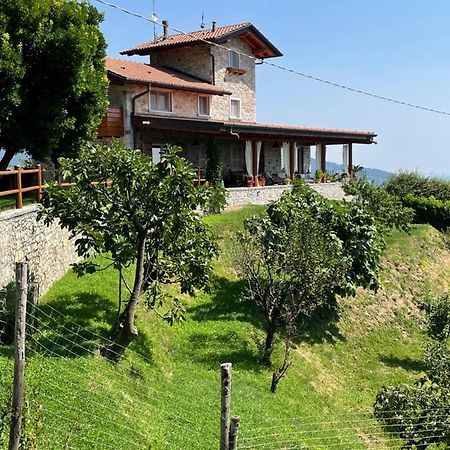 Bed and Breakfast Le Lanterne Villa d'Alme Екстер'єр фото