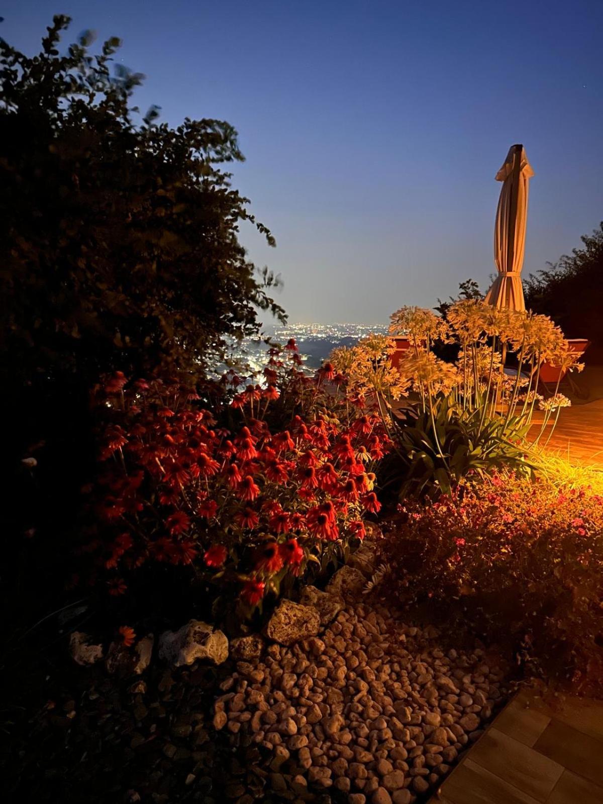 Bed and Breakfast Le Lanterne Villa d'Alme Екстер'єр фото
